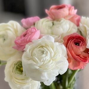 Meet your Posher, Gabby